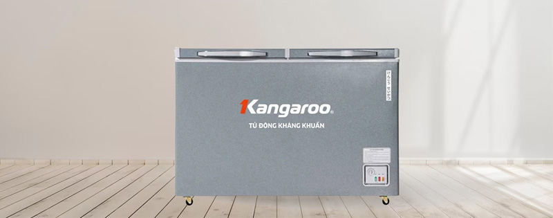 Tủ đông kháng khuẩn 375 lít KGFZ435IG1 - Hàng chính hãng