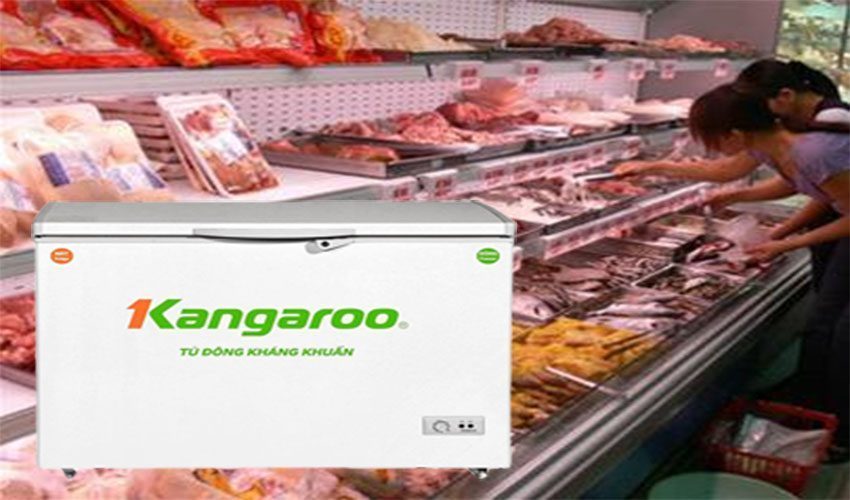 Tủ đông kháng khuẩn Kangaroo KG235C1 - Hàng chính hãng