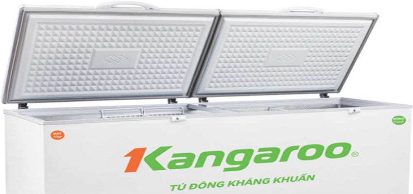Tủ đông kháng khuẩn Kangaroo KG388C1 - Hàng chính hãng