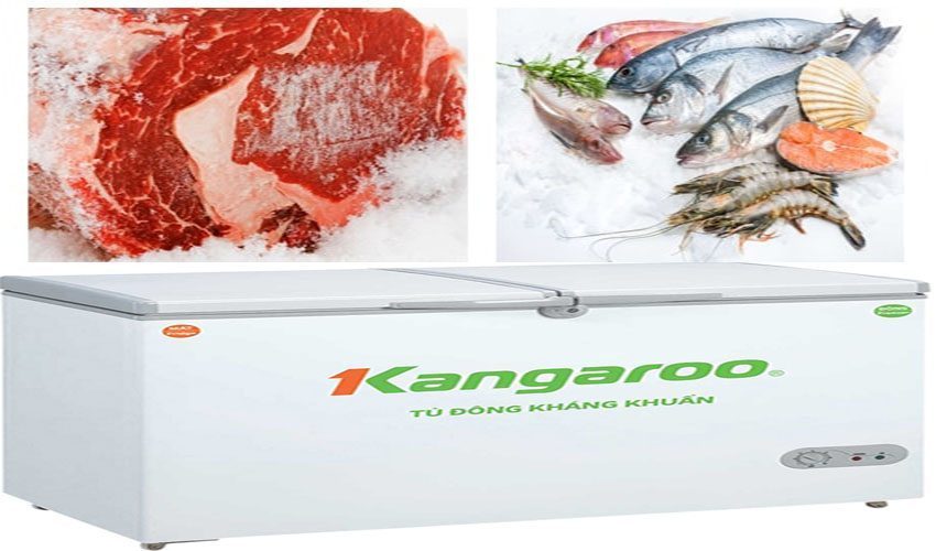 Tủ đông kháng khuẩn Kangaroo KG388C1 - Hàng chính hãng