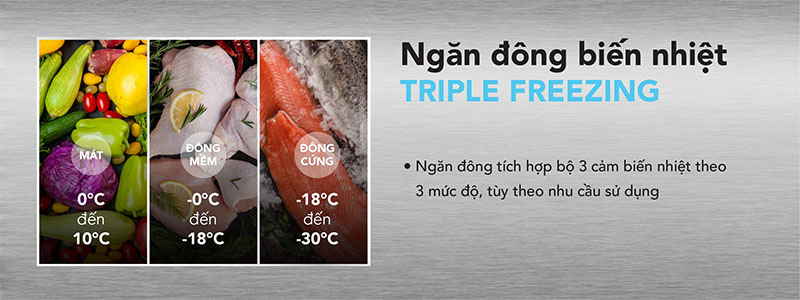 Tủ đông mặt kính Hòa Phát HPF-AD6107.T1 - Hàng chính hãng