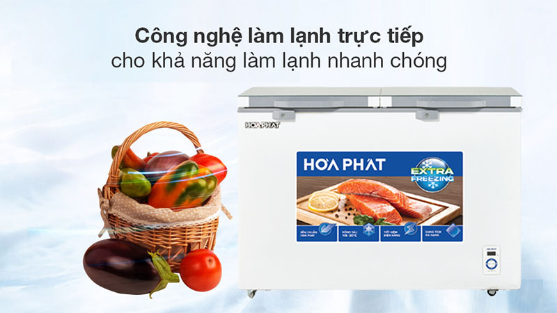 Tủ đông cánh kính Hòa Phát HPF-AD6352.T1 - Hàng chính hãng