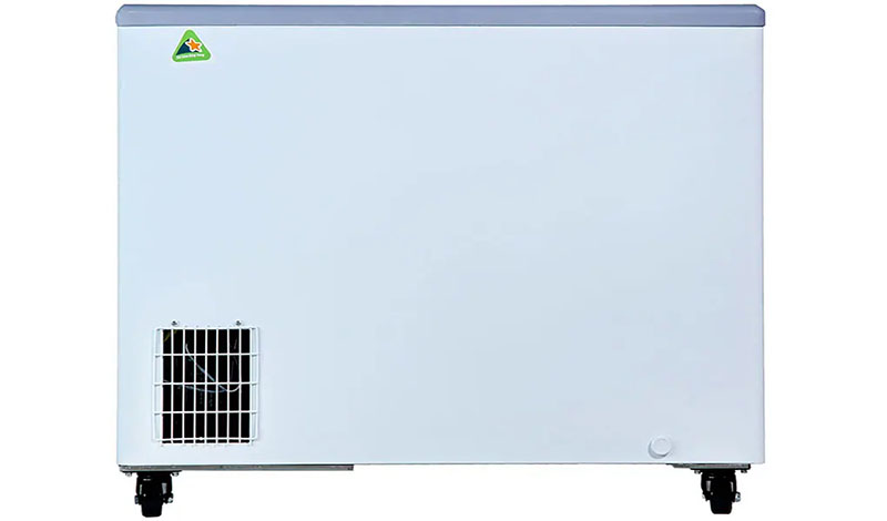 Tủ đông nắp kính lùa cong Alaska KC-210C - Hàng chính hãng