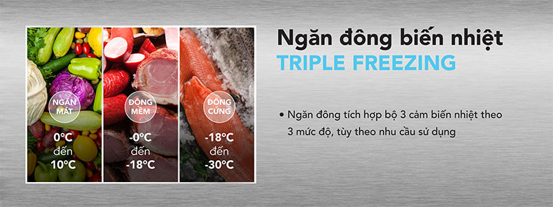 Tủ đông trưng bày Hòa Phát HSF-AD6357.C1 - Hàng chính hãng