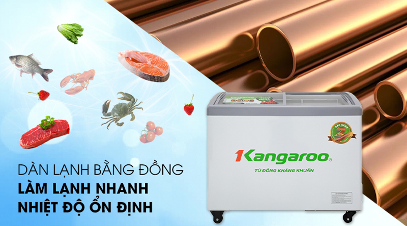 Tủ đông kháng khuẩn Kangaroo KG308C1 - Hàng chính hãng