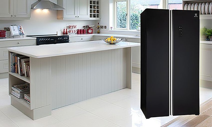 Tủ lạnh Electrolux ESE-6201BG-VN - Hàng chính hãng