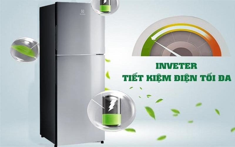 Tủ lạnh Electrolux ETB2802J-A - Hàng chính hãng