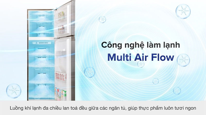 Tủ lạnh Inverter 249 lít Toshiba GR-RT325WE-PMV(06)-MG - Hàng chính hãng