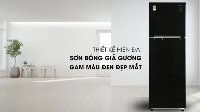 Tủ lạnh Inverter 256 lít Samsung RT25M4032BU/SV - Hàng chính hãng