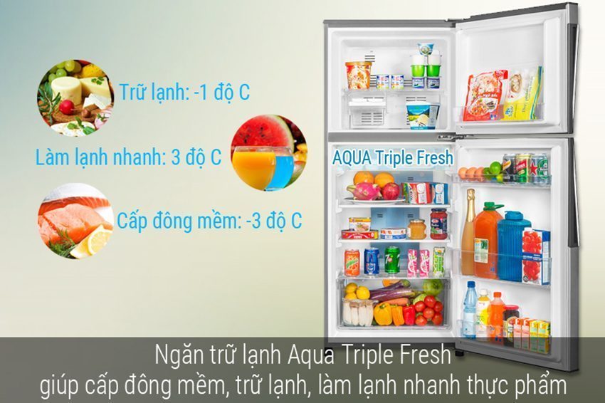 Tủ lạnh Inverter Aqua AQR-I255AN - Hàng chính hãng
