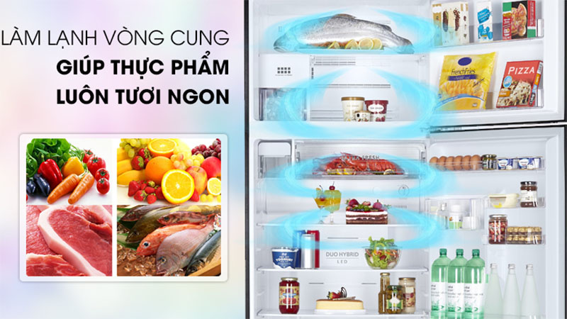 Tủ lạnh Inverter Toshiba 608 lít GR-AG66VA (XK) - Hàng chính hãng