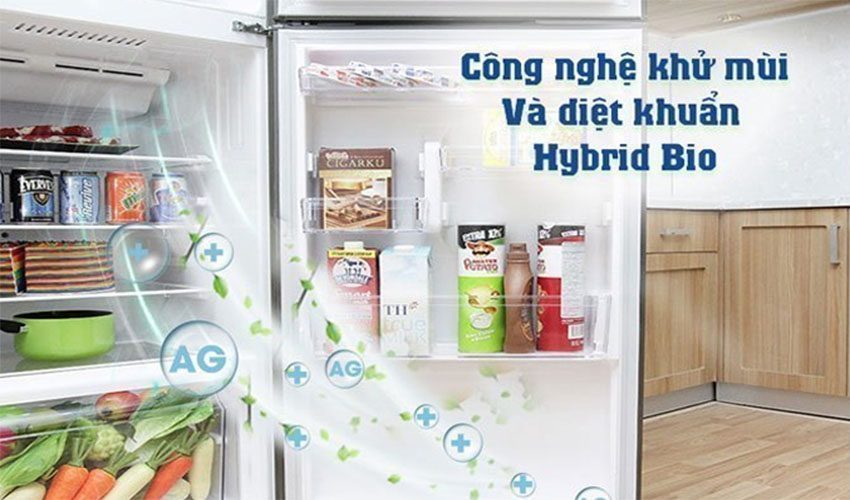 Tủ lạnh Inverter Toshiba GR-A25VU-UK - Hàng chính hãng