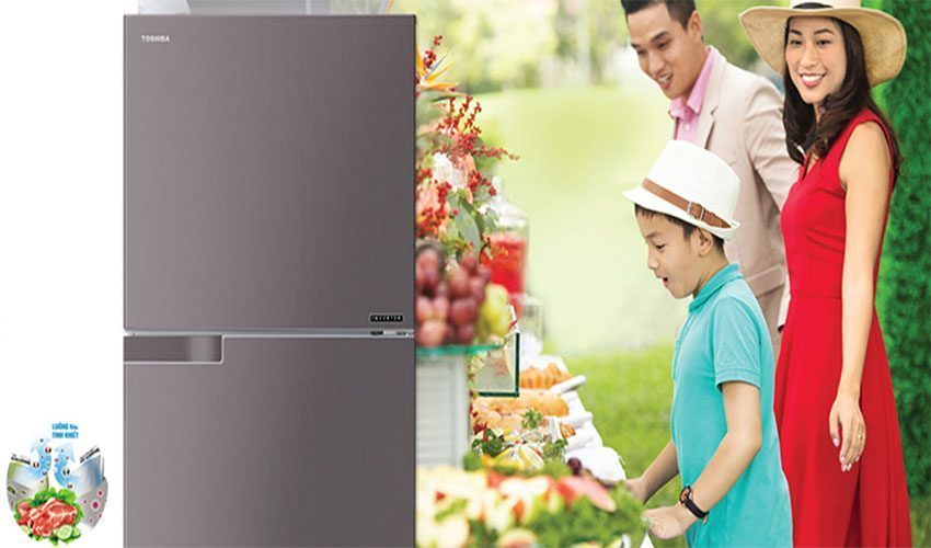 Tủ lạnh Inverter Toshiba GR-A36VUBZ-DS - Hàng chính hãng