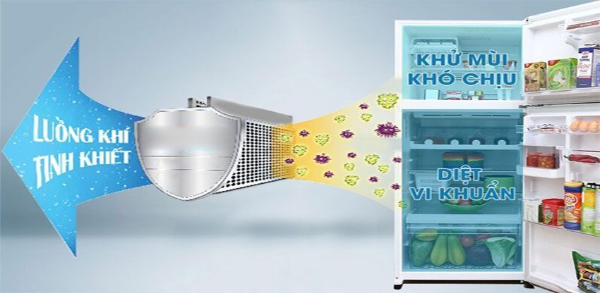 Tủ lạnh Inverter Toshiba GR-AG41VPDZ-XK - Hàng chính hãng