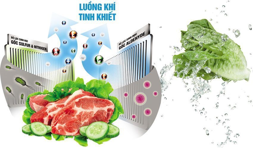 Tủ Lạnh Inverter Toshiba GR-AG46VPDZ-XG - Hàng chính hãng