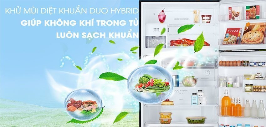 Tủ lạnh Inverter Toshiba GR-AG58VA-GG - Hàng chính hãng