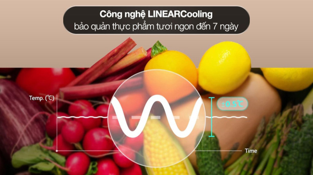 Tủ lạnh LG Inverter 571 lít Multi Door LFD58BLMA - Hàng chính hãng