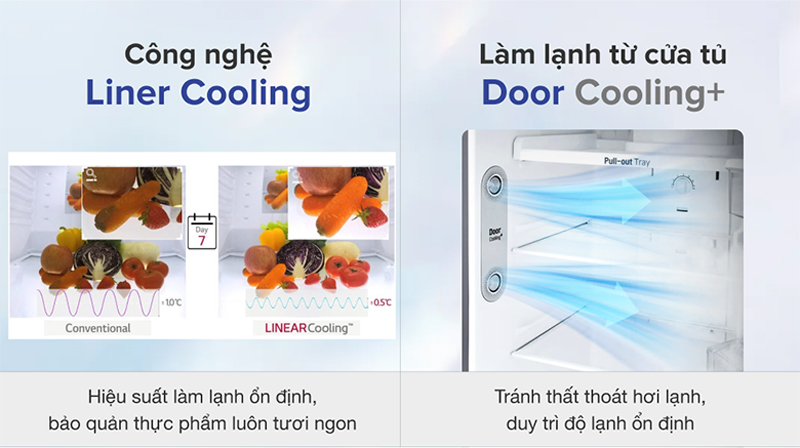 Tủ lạnh LG Inverter 315 Lít GN-M312BL - Hàng chính hãng