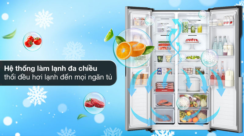 Tủ lạnh LG Inverter 519 Lít GR-B256JDS - Hàng chính hãng