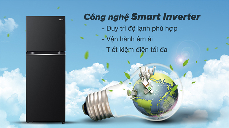 Tủ lạnh LG Inverter 217 lít GV-B212WB - Hàng chính hãng