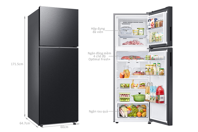 Tủ lạnh Samsung Inverter 305L RT31CG5424B1SV - Hàng chính hãng