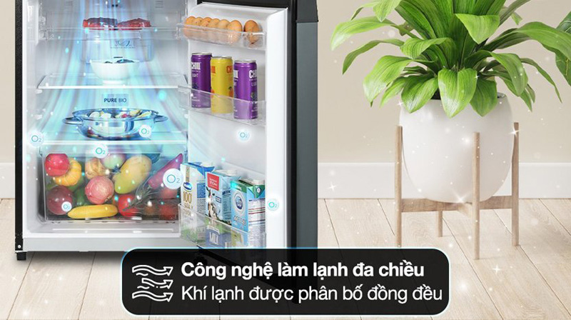 Tủ lạnh Sharp Inverter SJ-X198V-DG - Hàng chính hãng