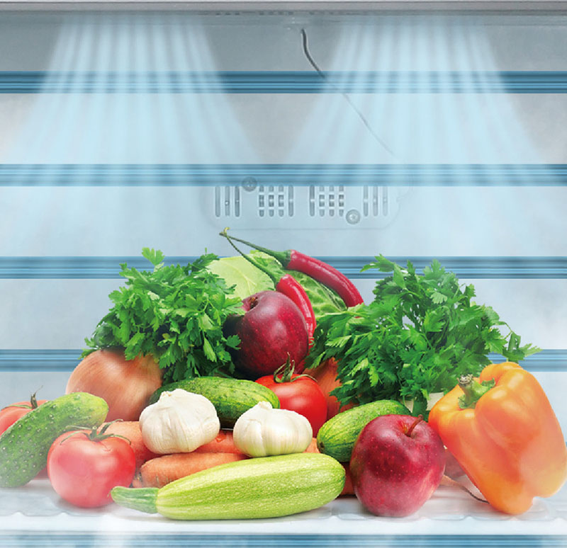Tủ mát trưng bày cánh kính Starion SR-SC41GWC - Hàng chính hãng