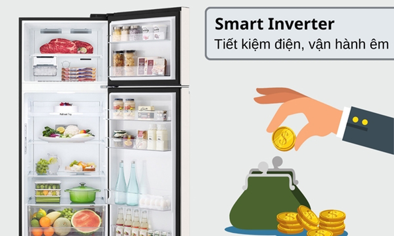 Tủ lạnh LG Inverter 395 lít GN-B392BG - Hàng chính hãng