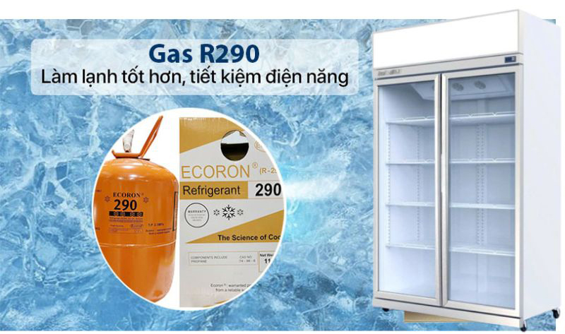 Tủ mát 2 cánh kính TurboGold TG-2DC-GS - Hàng chính hãng