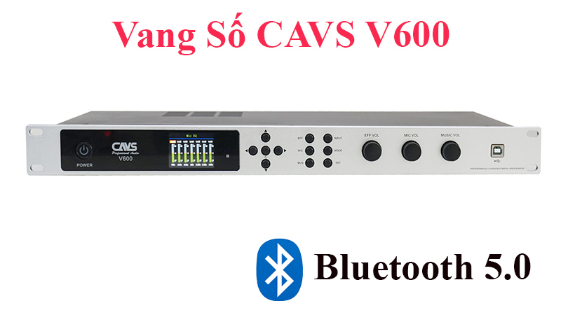 Vang số Cavs V600 - Hàng chính hãng