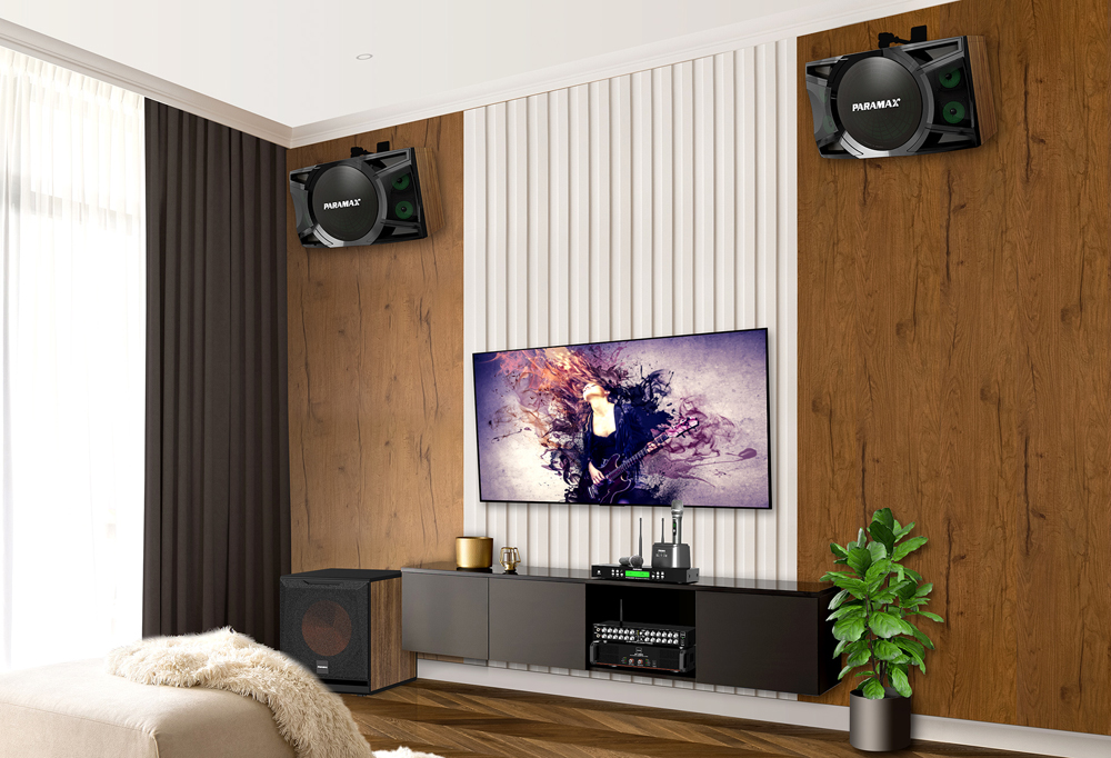 Loa karaoke Paramax P-1500 - Hàng chính hãng