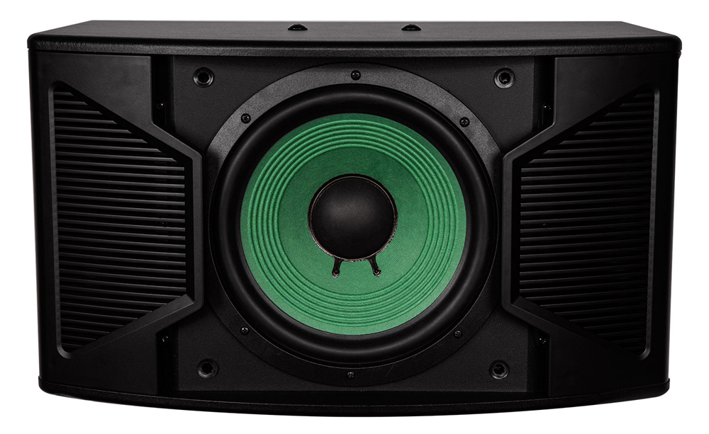 Loa karaoke Paramax P-1500 - Hàng chính hãng