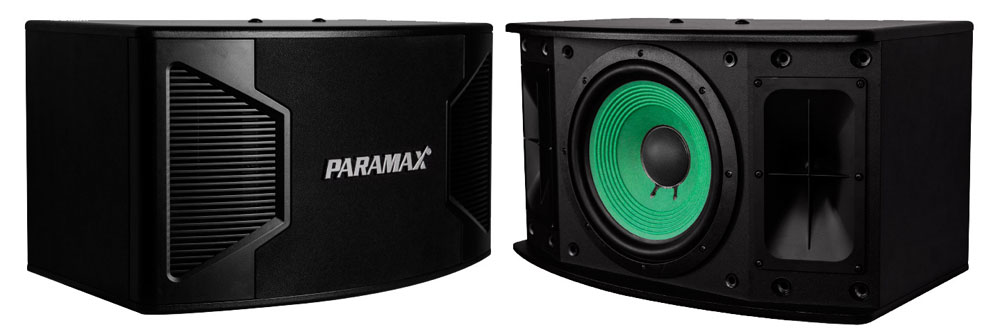 Loa karaoke Paramax P-1500 - Hàng chính hãng