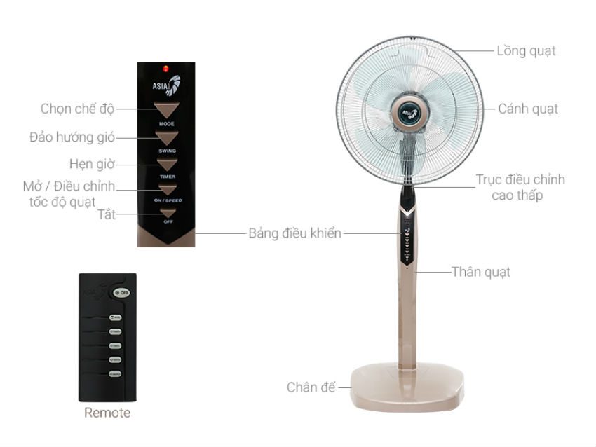 Quạt đứng Asia D16020 - Hàng chính hãng
