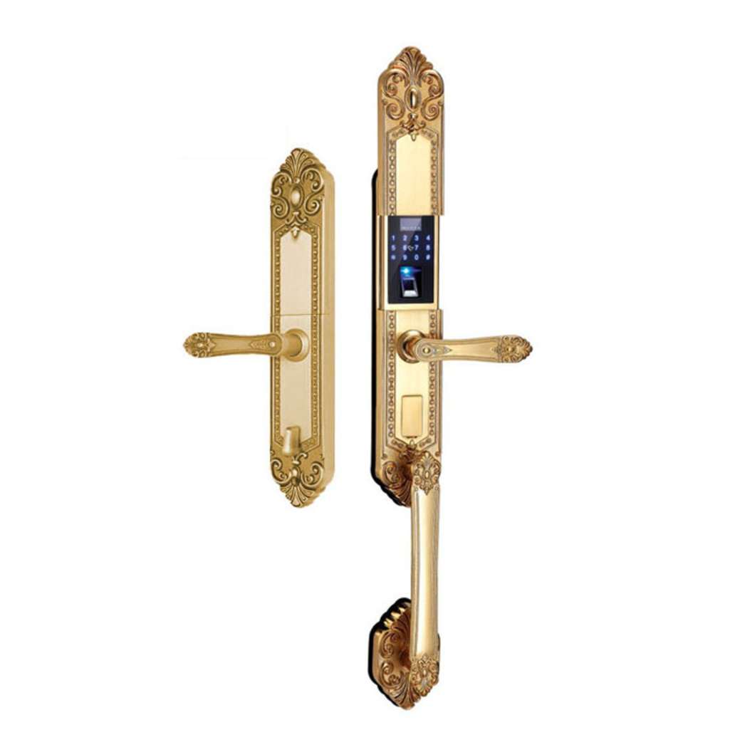 Khóa cửa vân tay đại sảnh Kassler KL-979G - Hàng chính hãng