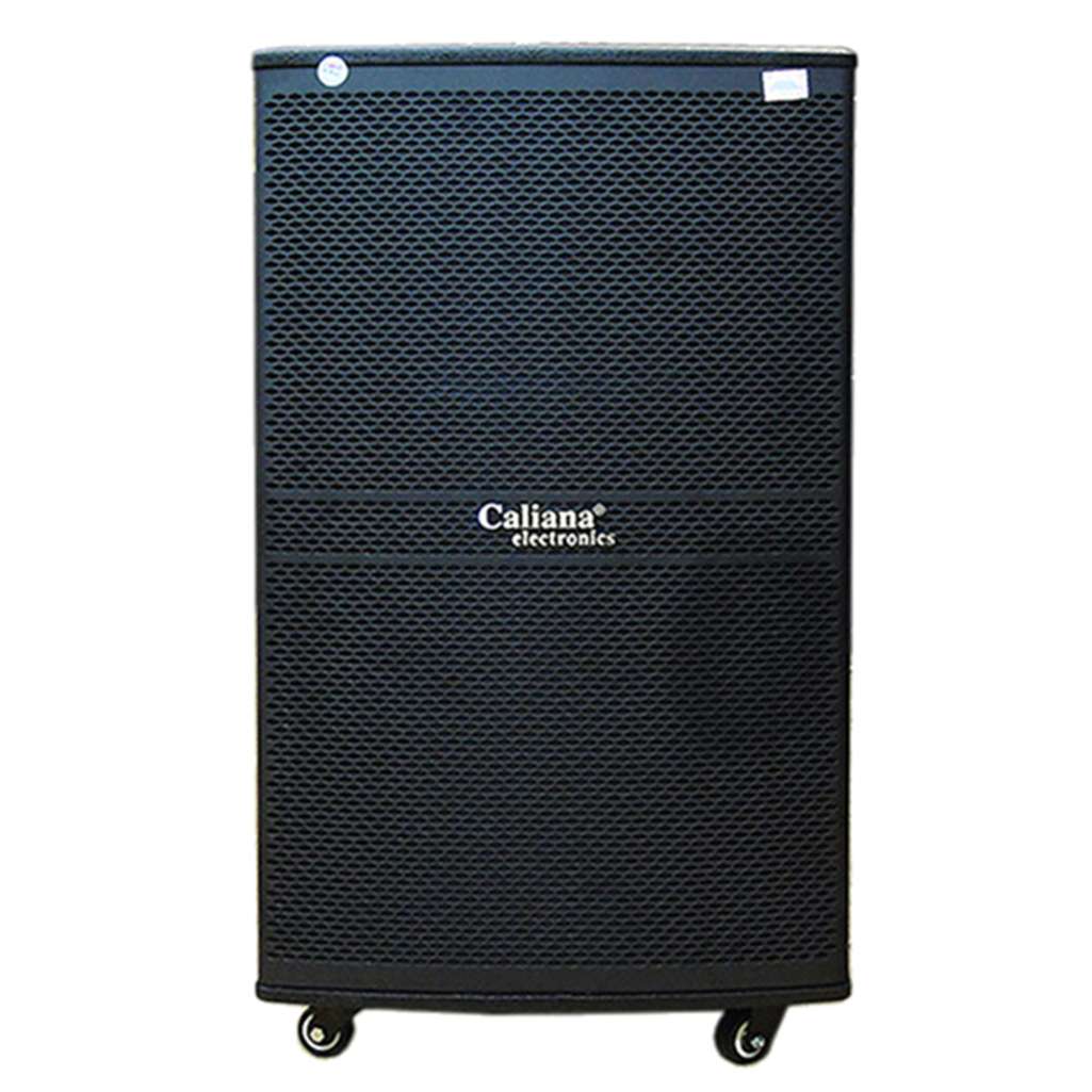 Loa di động Caliana WD-15A - Hàng chính hãng