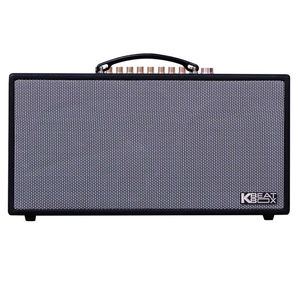 Loa karaoke Acnos CS450SR - Hàng chính hãng
