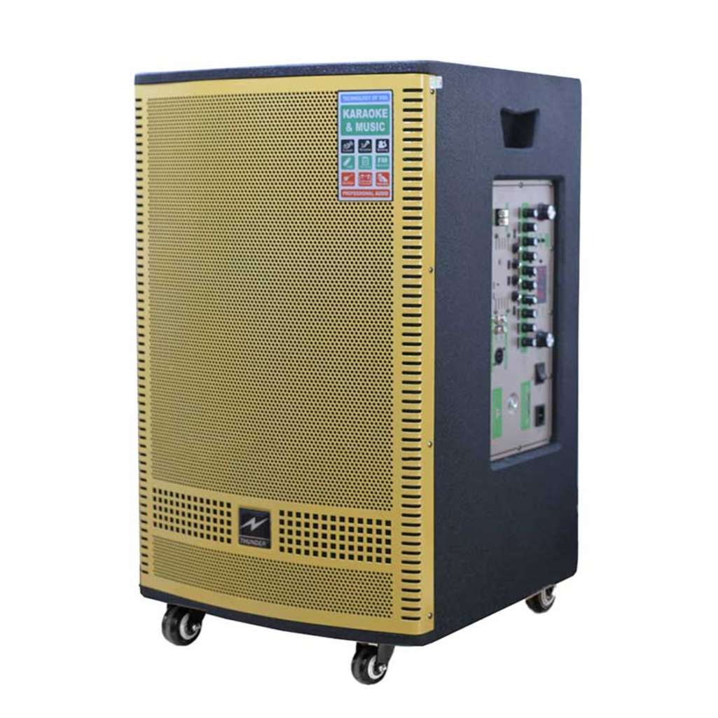 Loa karaoke di động Thunder K915A - Hàng chính hãng