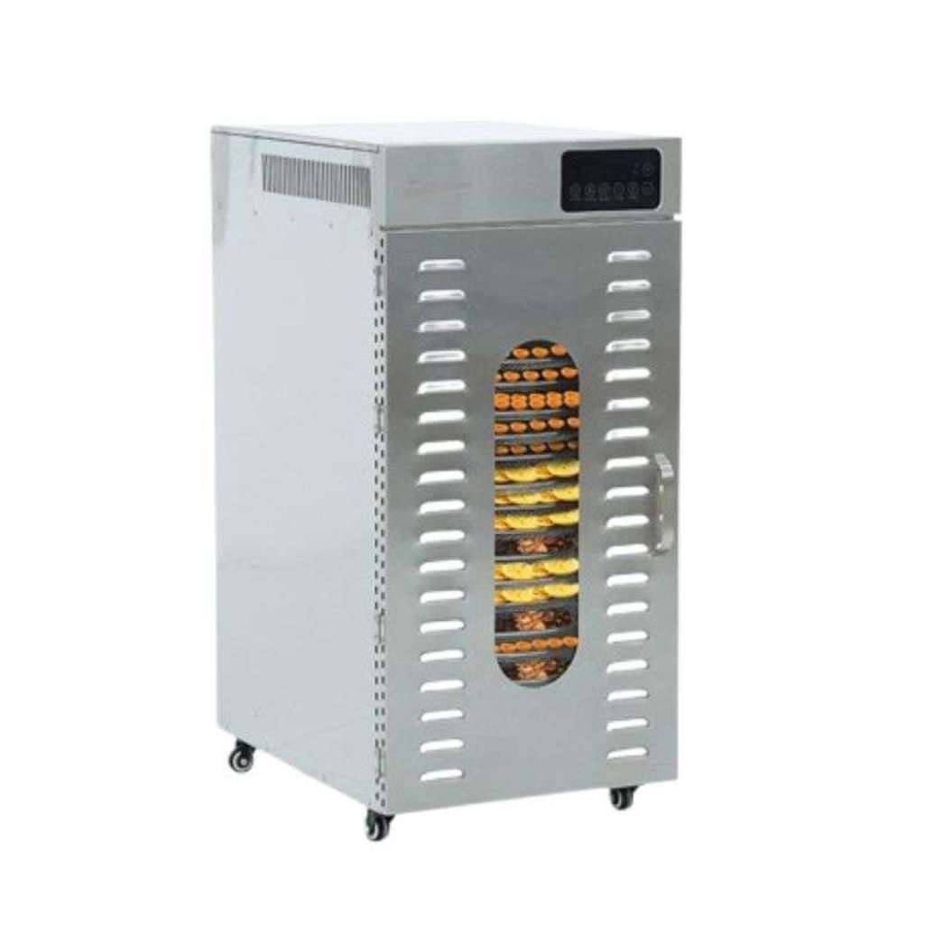 Máy sấy hoa quả Newsun NS-LT103 - Hàng chính hãng