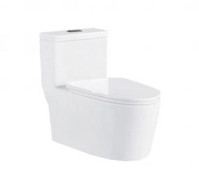 Bồn cầu liền khối Kassani 0883