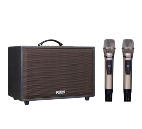 Loa karaoke xách tay Acnos CS3600PRO - Hàng chính hãng