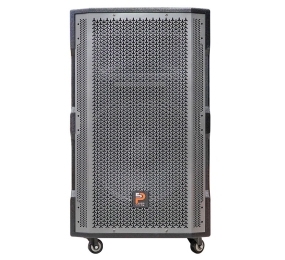 Loa kéo di động Prosing W15 Super - Hàng chính hãng