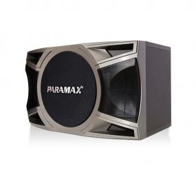 Loa ngang Paramax D-1000 - Hàng chính hãng