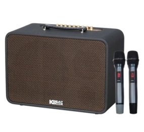 Loa xách tay Acnos CS250PRO - Hàng chính hãng