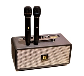 Loa xách tay BestSound M5 - Hàng chính hãng