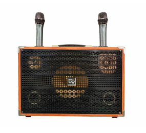 Loa xách tay EV Acoustic EV-203N - Hàng chính hãng