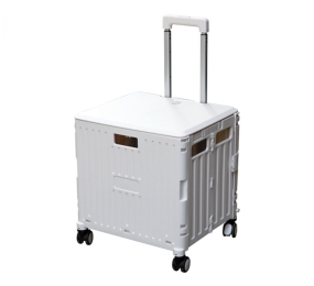 Xe kéo hàng đi chợ Fujihome PT-35F