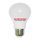 Bộ đèn led thân nhôm Sunhouse SHE-LEDA60AL-A9W - Hàng chính hãng