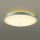 Đèn trần Led cỡ trung Panasonic HH-LA152919 - Hàng chính hãng
