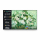 Google TV Coocaa FRAME+ ULTRA 86L85 - 86 inch - Hàng chính hãng